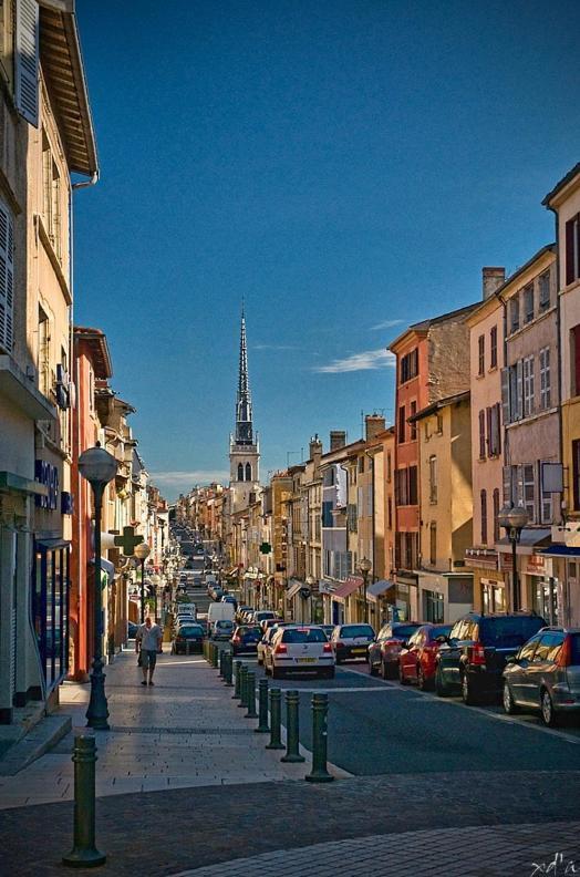 Apartamento Le Cosy Shelby Proche Gare 150M Villefranche-sur-Saône Exterior foto